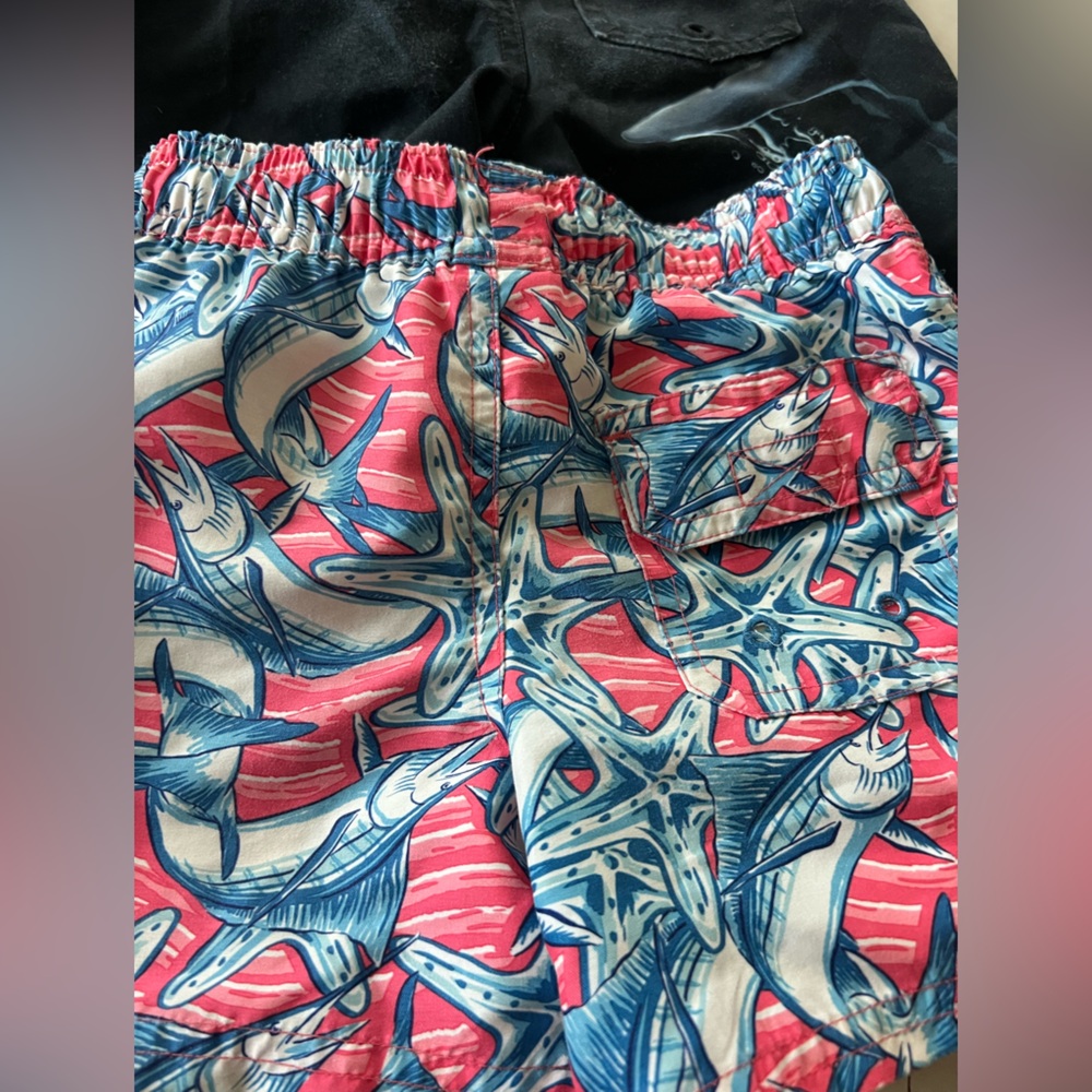Bundle of Swim Trunks - Picture 4 of 5